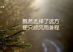 英语鼓励别人的名言：机会只对进