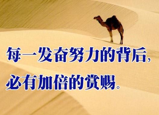 励志语录配图