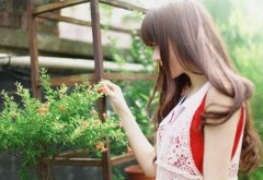 2020年度最唯美的句子精选