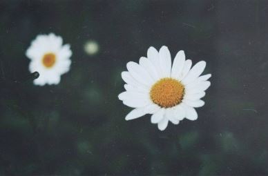 经典语录说说12