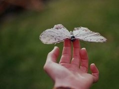 人生感悟的句子很经典的