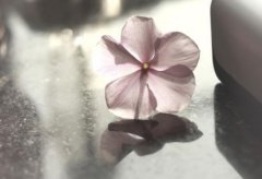 晚安心语：如果懂了，就别说，笑