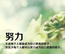 励志的句子：没有了殷勤，终究会