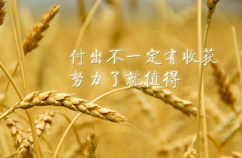 高考正能量语录9