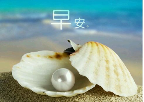 早安心语：等上帝给你运气，不如自己给自己勇气