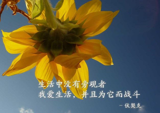 励志早安心语带图片唯美2