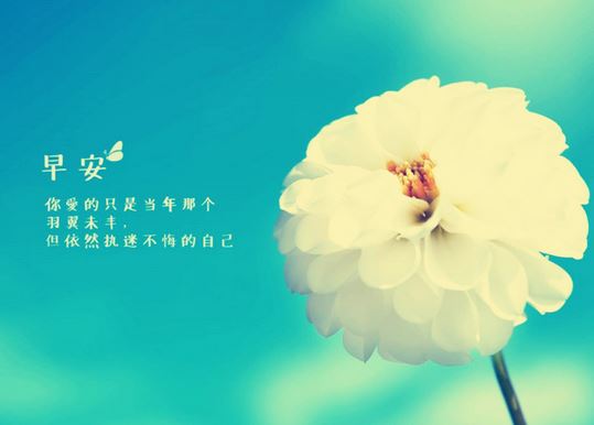 早安励志语录精选46句