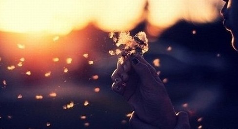 早安心语唯美语句:人生不过如此,且行且珍惜2