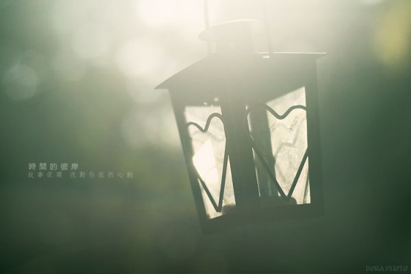 富含哲理的唯美晚安心语：其实爱到平淡，才是一生的开始6