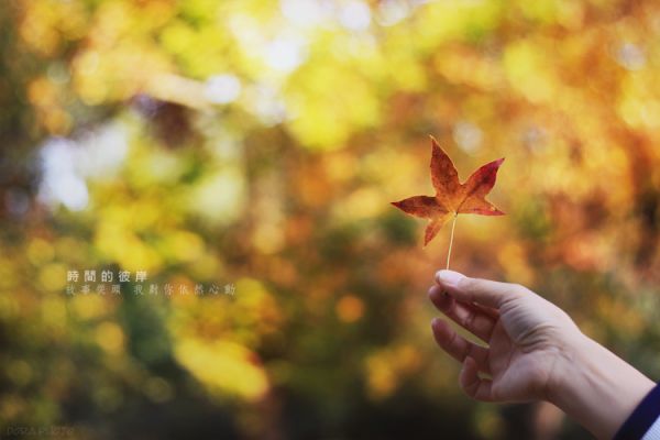 富含哲理的唯美晚安心语：其实爱到平淡，才是一生的开始7