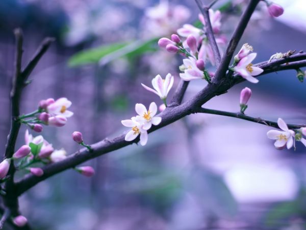 晚安心语伤感爱情说说：躲在某一时间，想念一段时光的掌纹9