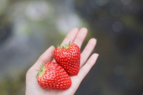 唯美晚安心语：点滴生活，每一天，每一刻