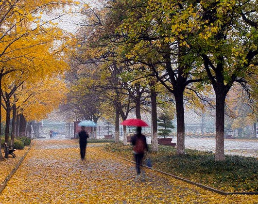 雨天伤感说说大全：择一城终老 携一人白首2