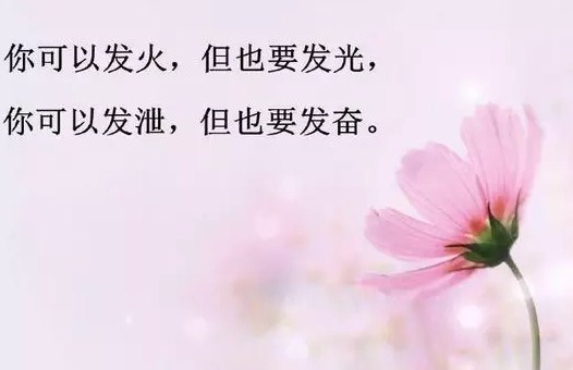 配图励志早安语录:当你成功的时候,你说的所有话都是真理