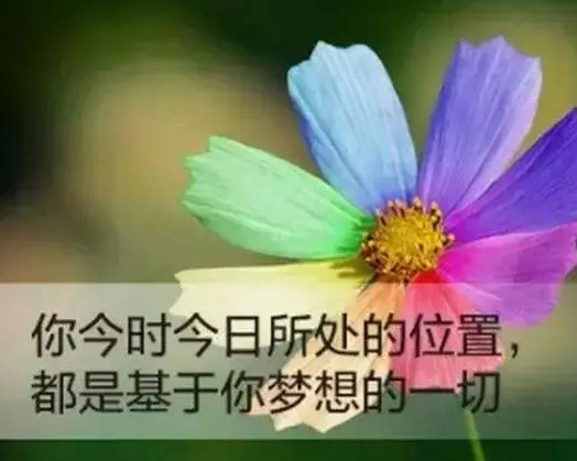 配图励志早安语录:当你成功的时候,你说的所有话都是真理