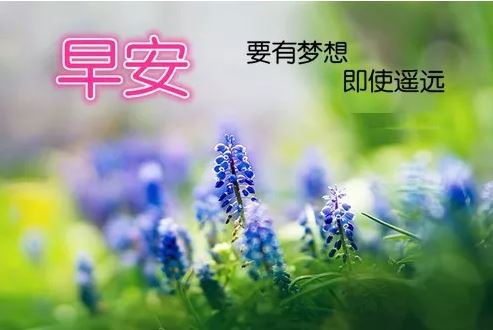 励志早安心语配图：每一天都是新的开始!