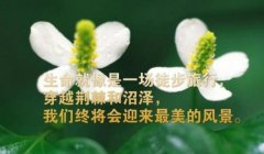 朋友圈很阳光的励志早安语精选配