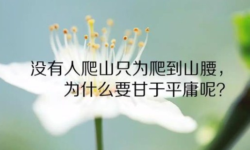 阳光励志早安图片配句子