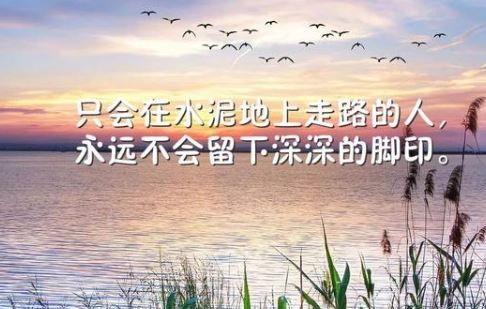 早安心语正能量配图：.若要成功，就要大胆去闯