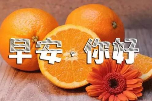 11月再见，12月你好！早安励志语录配图