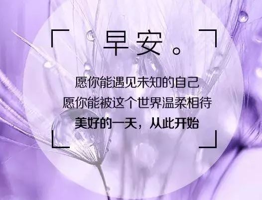 新的一天，早安励志心语致努力拼搏的朋友们，加油