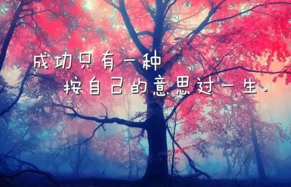 新的一天，早安励志心语致努力拼搏的朋友们，加油