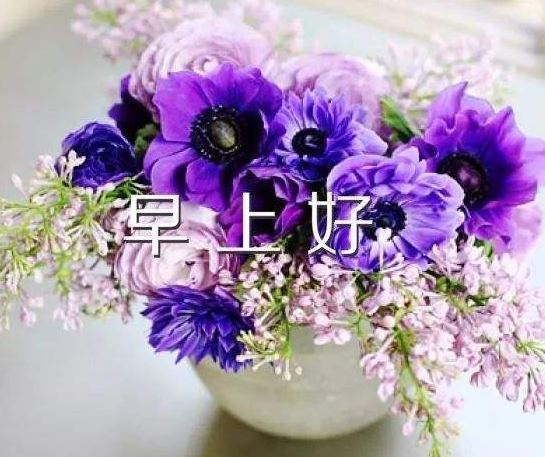 早安祝福的话语,句句暖人心