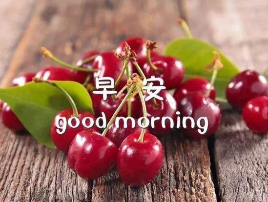 早安祝福的话语,句句暖人心