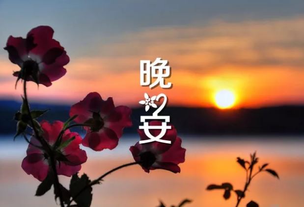 睡觉前发的晚安图片说说心情