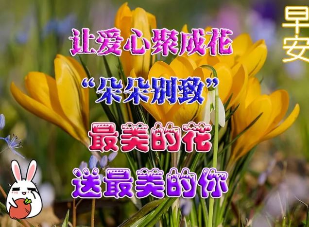 201早上好阳光暖心的祝福语 2020特漂亮的清晨问好图片带字