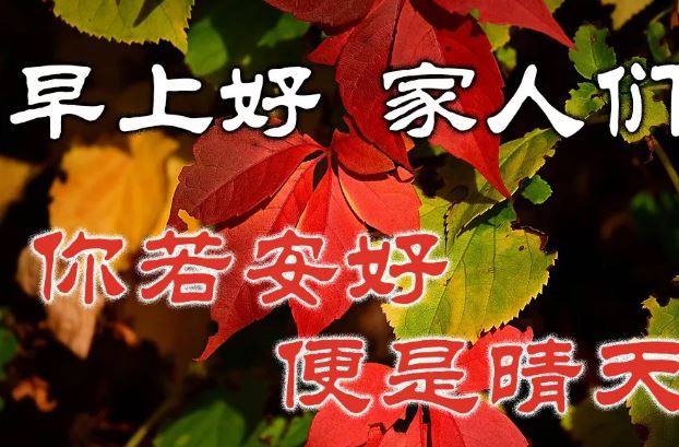 群发朋友圈的早安祝福动画表情 漂亮的早上好问候暖心话