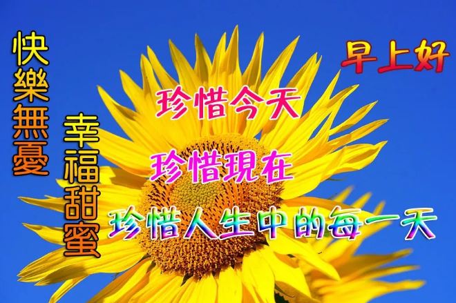 阳光早上好祝福图片带字：请你相信，你的坚持，终将美好