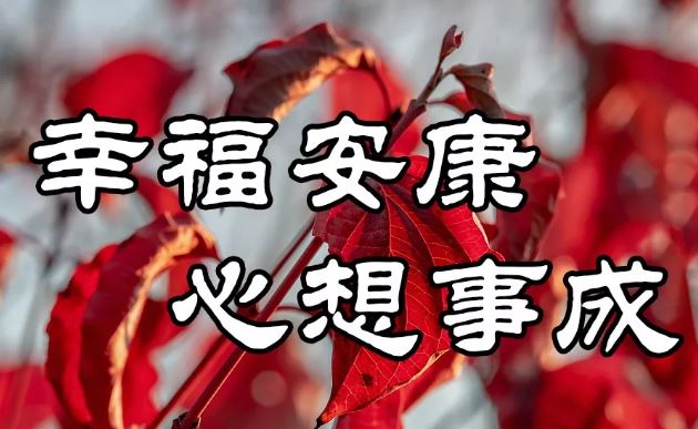 阳光早上好祝福图片带字：请你相信，你的坚持，终将美好