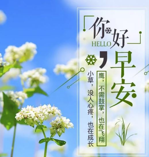 2020最新早安心灵鸡汤励志语录加励志图片精选10张