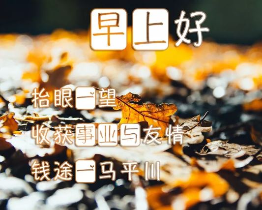 阳光早安心语优美语句配图说说;努力，就总能遇见更好的自己!