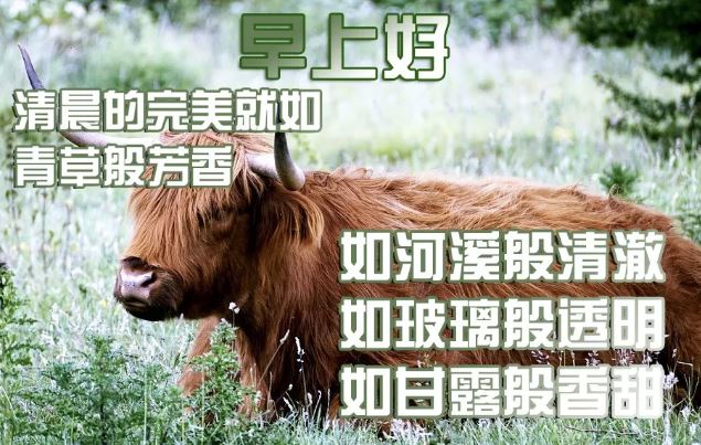 2020早上好祝福图片带字 阳光早上好正能量问候语