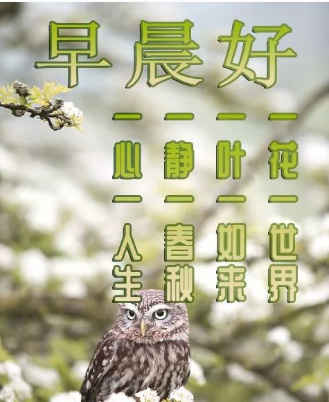 早上好祝福语优美句子，清晨早上好唯美图片带字