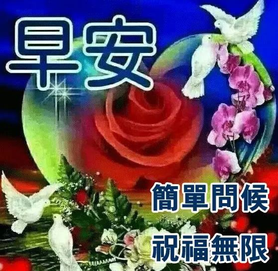 早上好句句窝心的走心句子配图