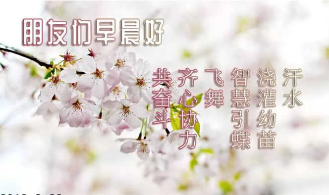 早上好唯美祝福图片带字 2020最新版清晨早安祝福句子