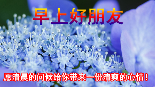 2020新版早上好特漂亮祝福图片带字，送朋友的唯美暖心祝福语