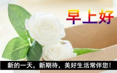 新版早上好问候祝福图片：为你在