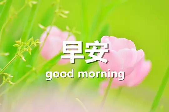 早安心语优美的阳光语录：你若觉得快乐，幸福无处不在