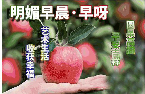 早安心语最美丽的语句和图片
