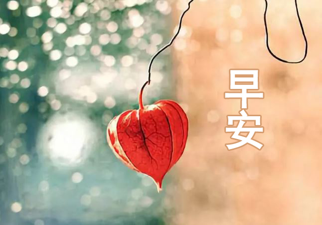 早安心语最美丽的语句和图片