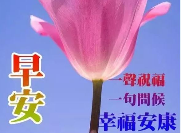 早上好祝福短信，2020清晨最美祝福说说