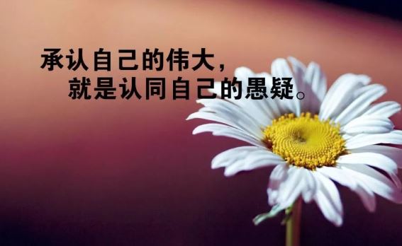 每日清晨群发励志经典说说句子