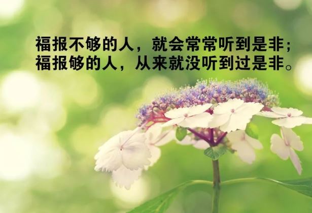 每日清晨群发励志经典说说句子
