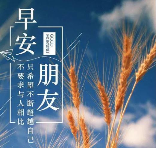 微信朋友圈早晨简短励志语录心灵鸡汤一句话配图