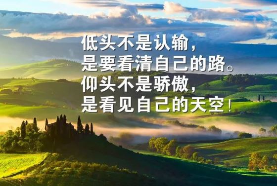 每天激励自己的早安励志心语：坚持，除了坚持，别无选择