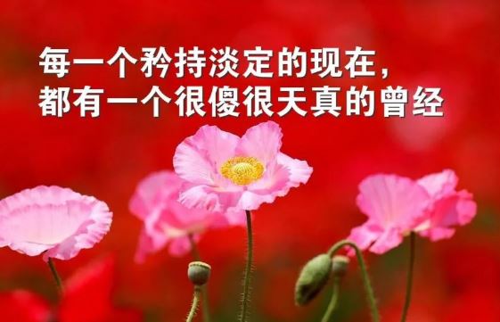 每天激励自己的早安励志心语：坚持，除了坚持，别无选择